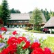 001-hengsthof-renchtal-pension-christbaumparadies